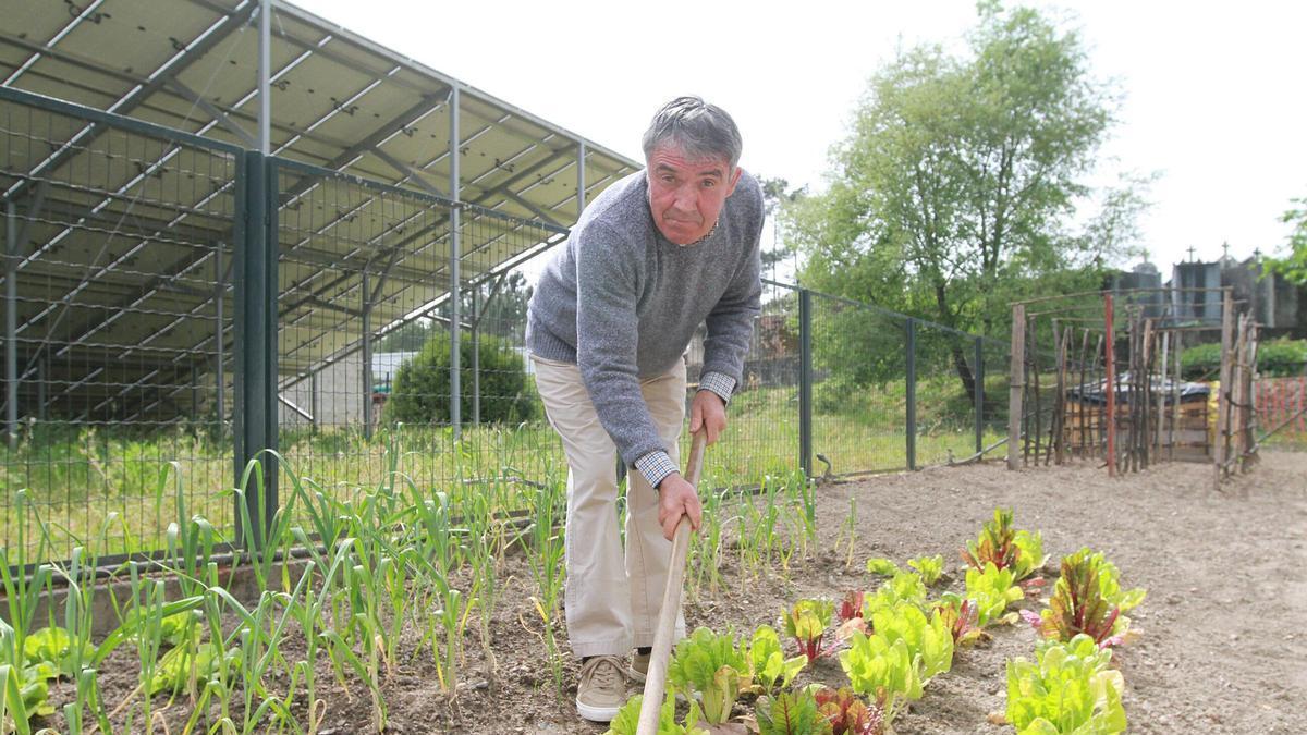 El huerto del geriátrico que ocupa y aporta «paz» a Laureano en Ourense