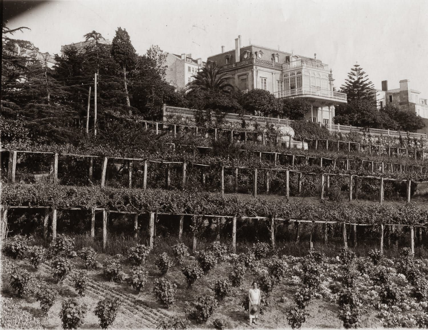 Carmelitas, una «esencia» que pervive desde hace 100 años en Vigo