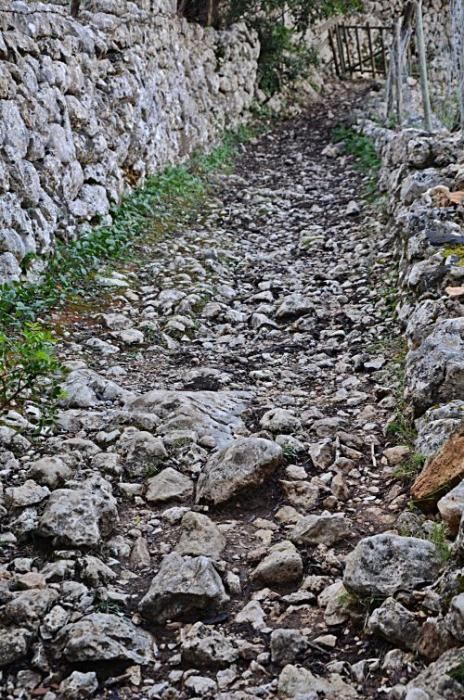 Versteckte Baracken, fast vergessene Geschichten und ganz viel Plackerei: Der Barranc de Biniaraix bei Sóller ist viel mehr als idyllische Wander-Kulisse