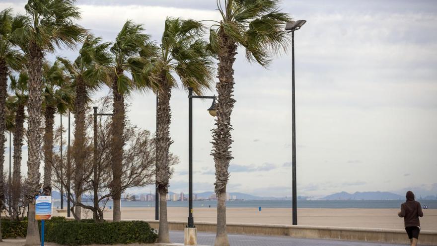 La previsión del tiempo para hoy en Valencia anuncia mucho viento.