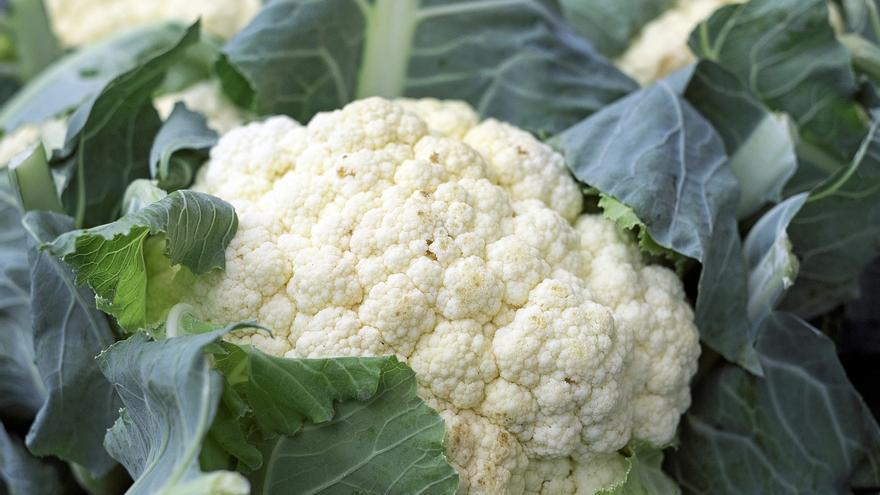 Estas son las 3 enfermedades que combate la coliflor