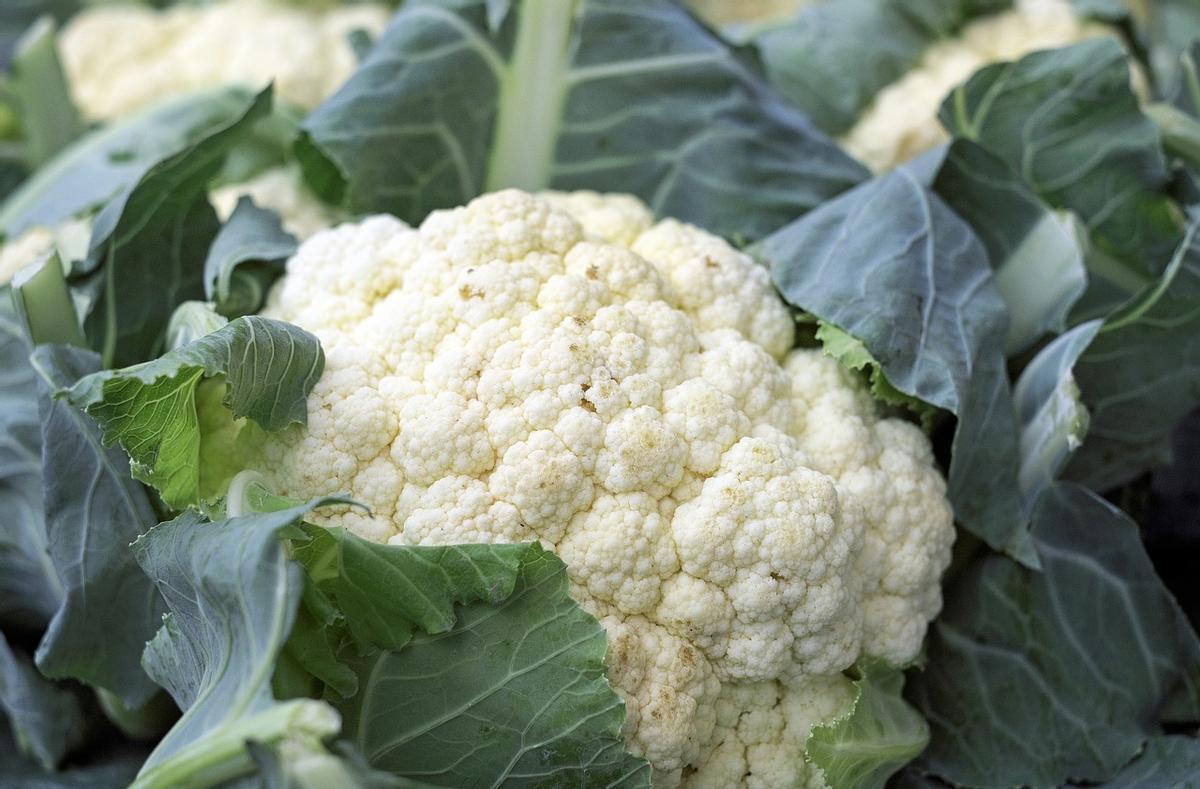 Este vegetal crucífero está comenzando a aparecer en innovadoras recetas de hogares y restaurantes.