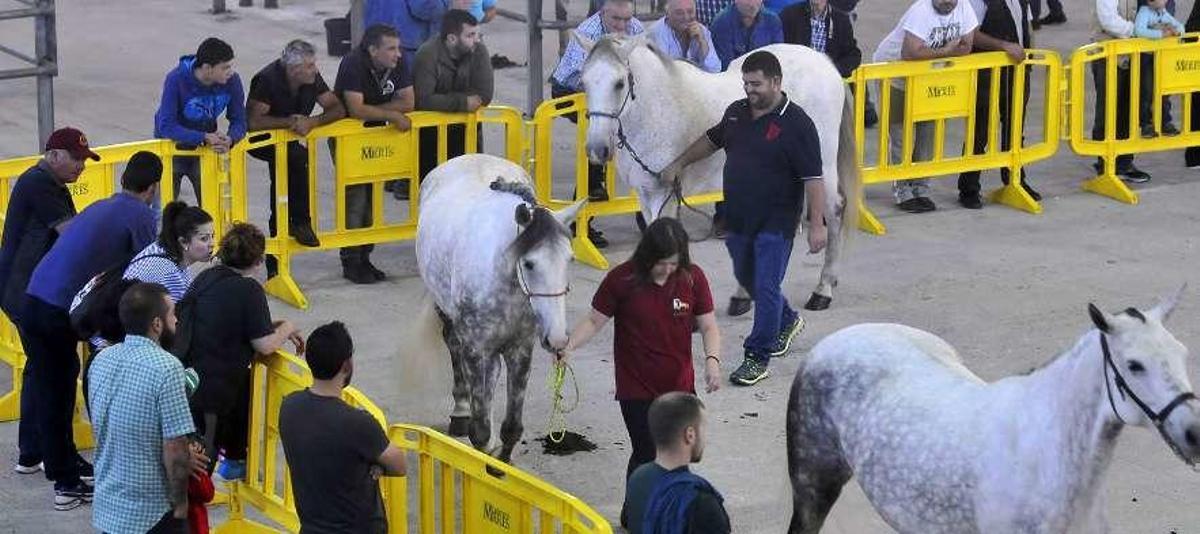 San Xuan da en el blanco