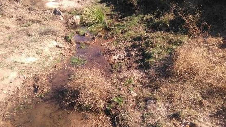 Filtraciones de agua a los pies del depósito de Fermoselle.