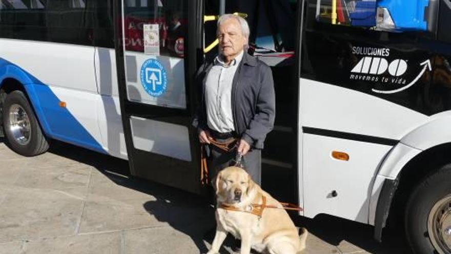 El transporte público de Benidorm abre sus puertas a los perros guía