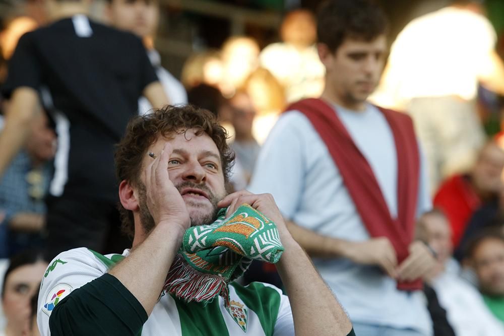 Blanquiverdes en el Arcángel