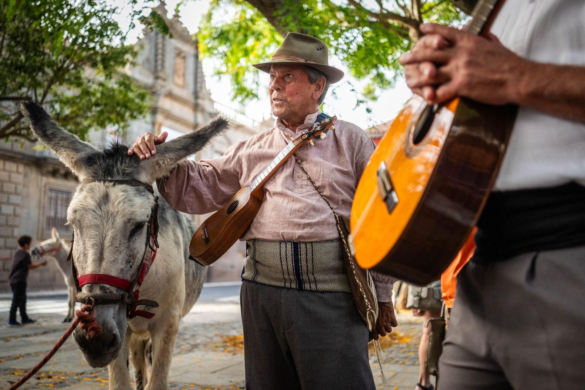 Día de los burros en La Laguna