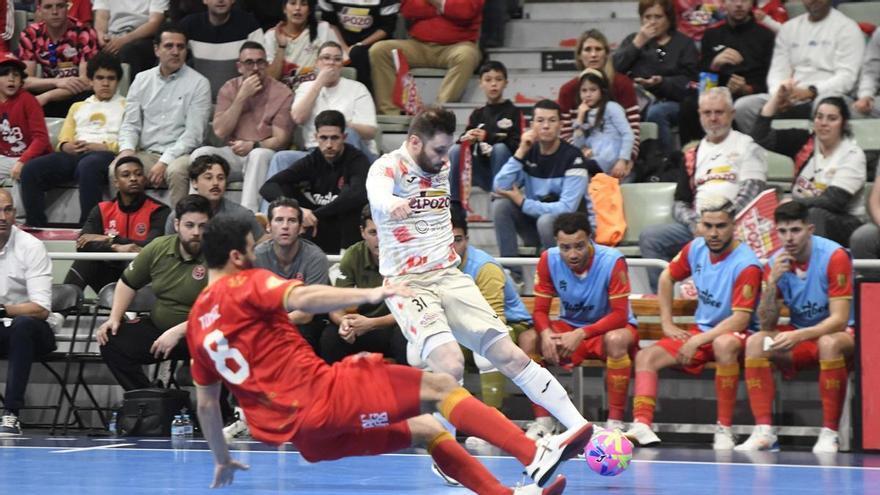 ElPozo Murcia y Jimbee Cartagena, con argumentos para creer