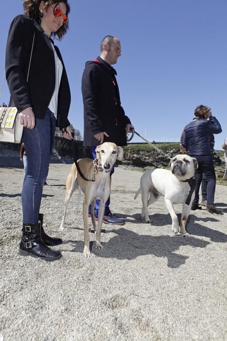 Gijón se promociona como destino vacacional para familias con sus mascotas
