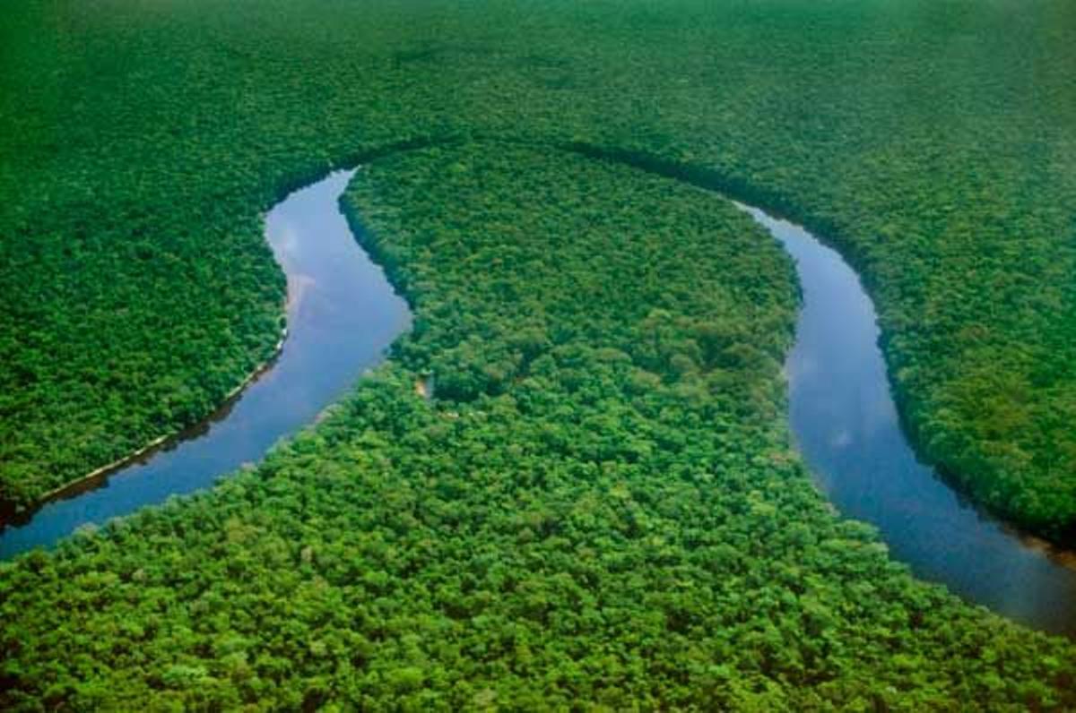 El corazón de las tinieblas