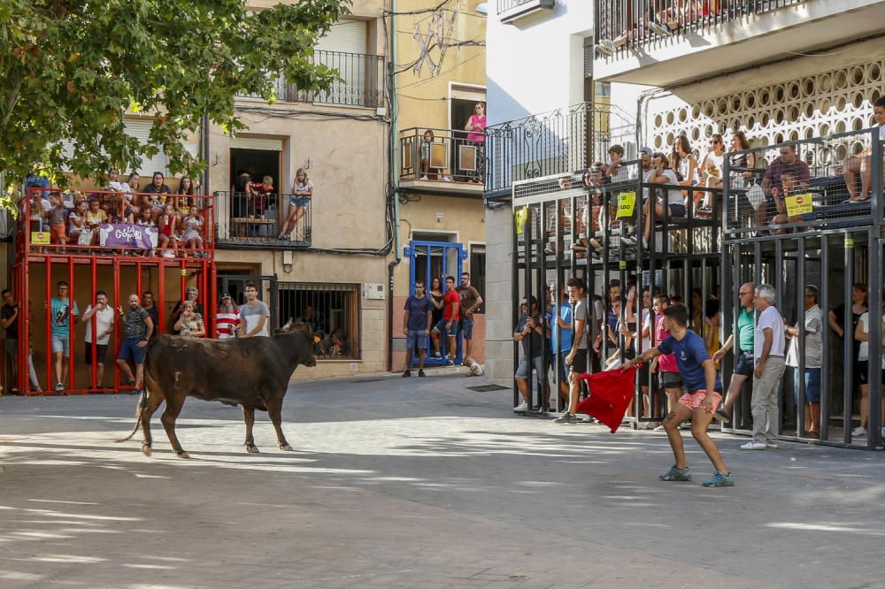 Fiestas de la Vaca de Castalla.