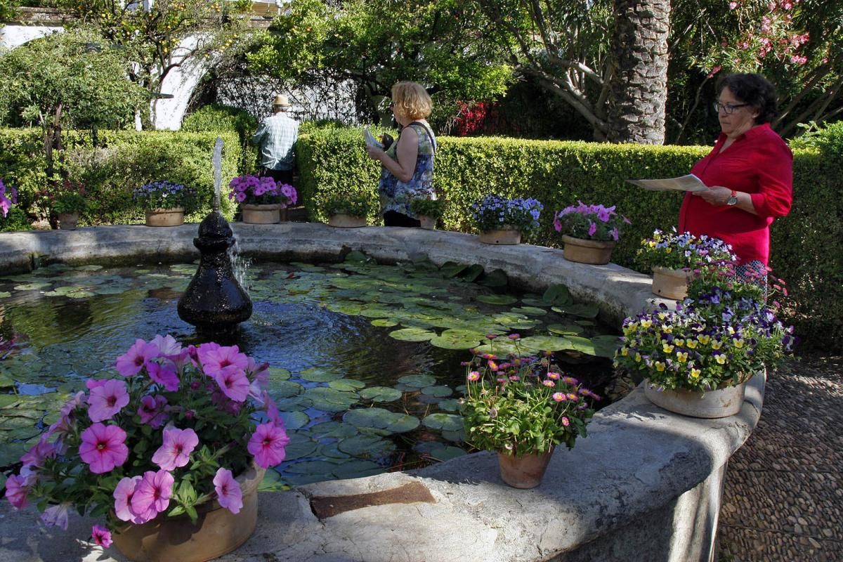 FOTOGALERÍA / Viana, un paseo con los cinco sentidos