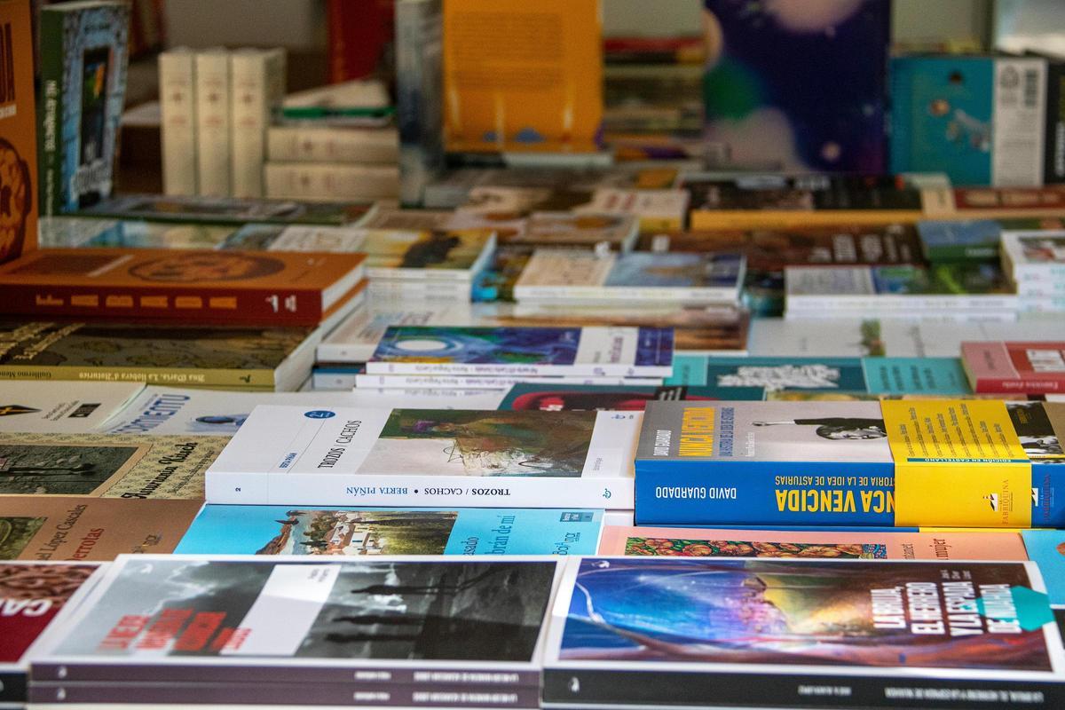 Conxunto de libros expostos nunha mostra.