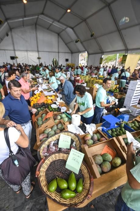 III FERIA DEL AGUACATE