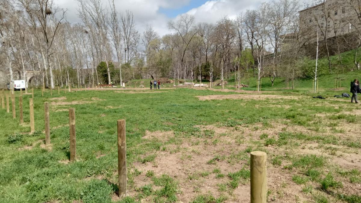 Manresa obre la zona delimitada per a gossos més gran de la ciutat