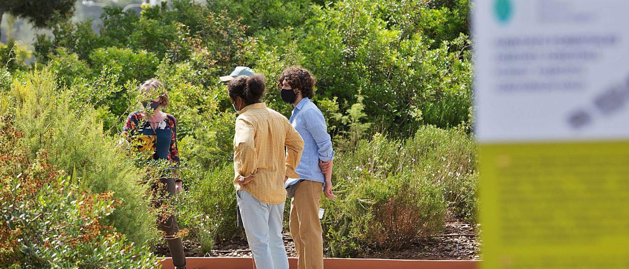 Visitantes disfrutando de una visita guiada, ayer, en el Botánico Biotecnológico de Sant Rafel