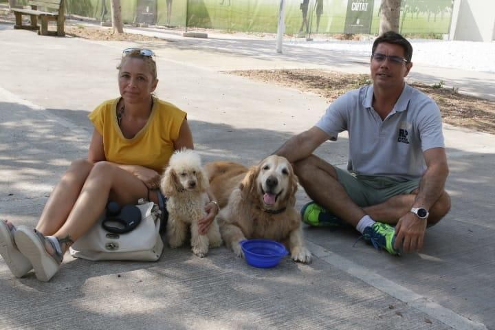 Los desalojados esta mañana en Barx han sido acogidos temporalmente en el Palacio de Congresos de Gandia.