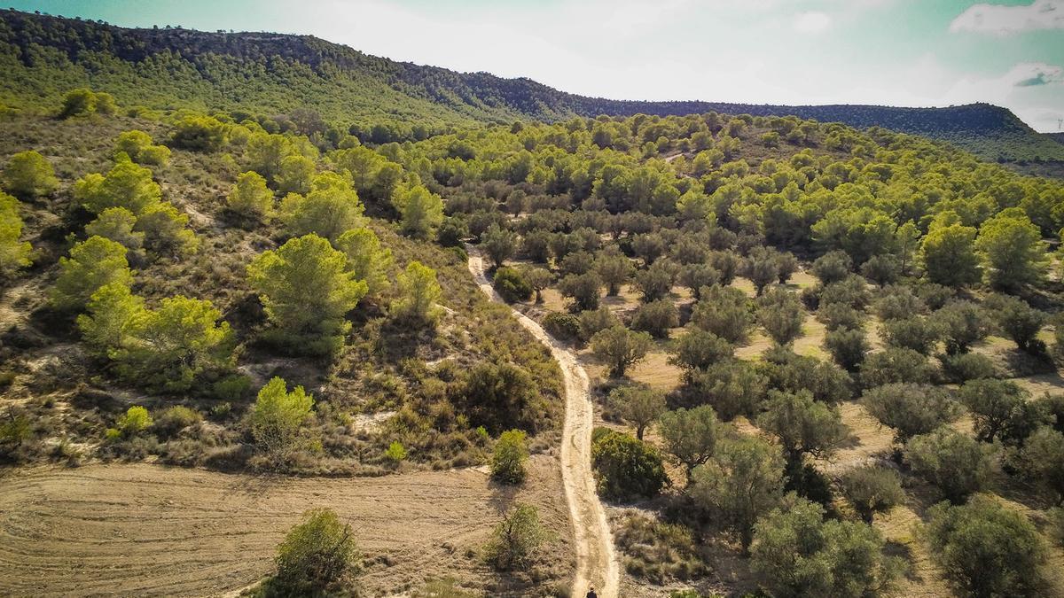 Imagen de la cuerda de Sierra Escalona/ Vídeo de la construcción en suelo no urbanizable protegido de Sierra Escalona