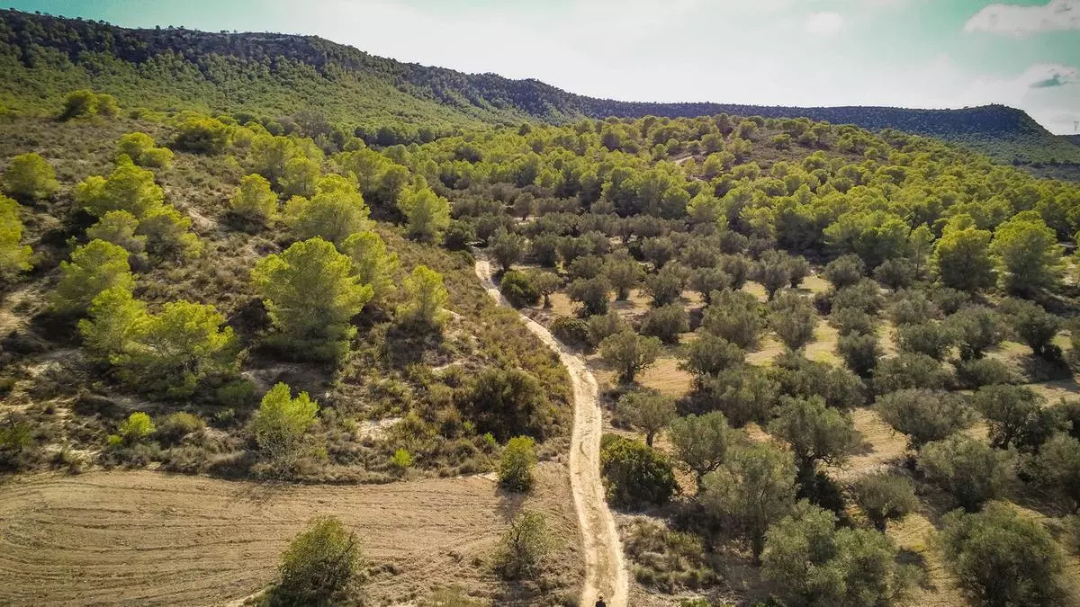Los ecologistas denuncian la construcción de viviendas en el espacio con mayor protección ambiental de Sierra Escalona
