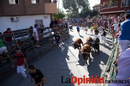 Segundo encierro de Calasparra 2014