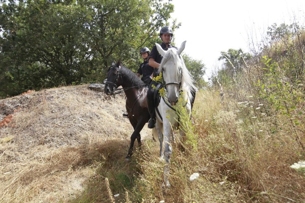 Vigilancia a caballo contra el fuego