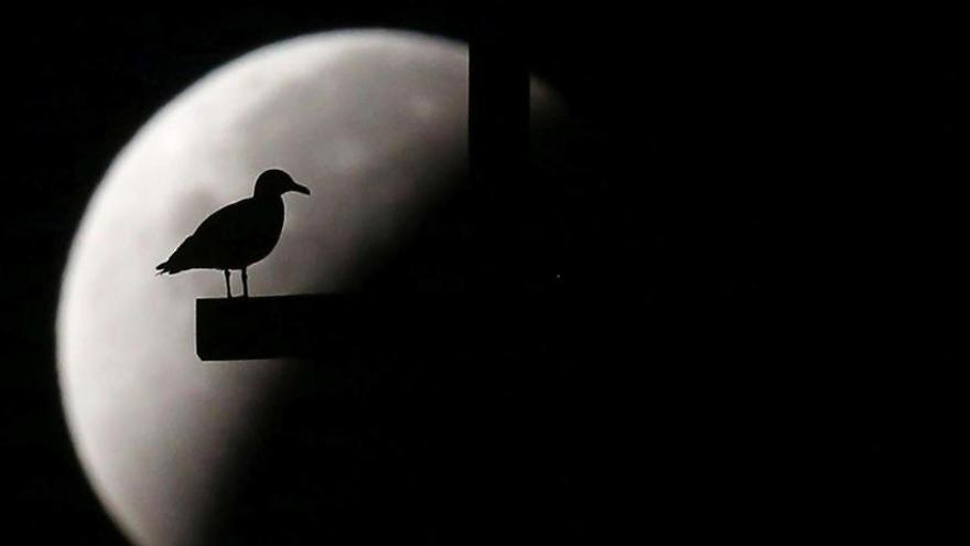 Un eclipse lunar y otro solar en el invierno que arranca hoy