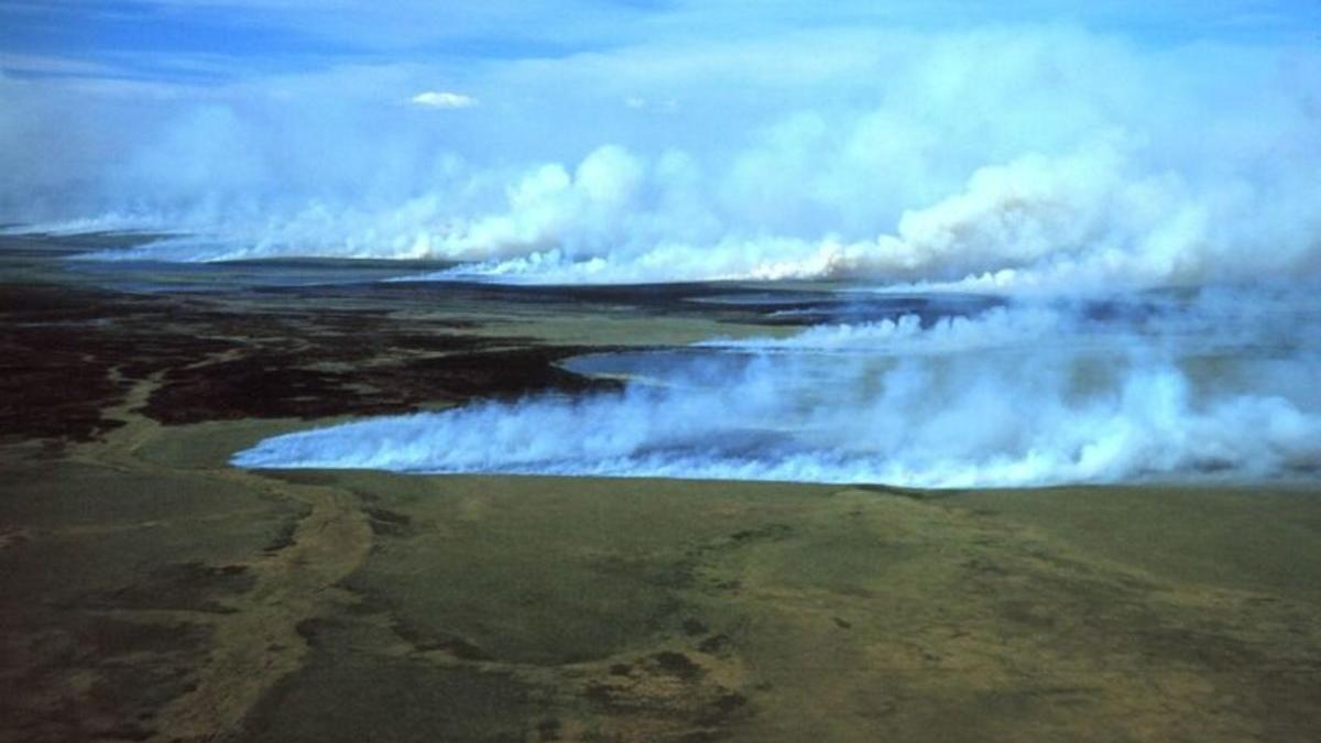 Los 'incendios zombis' son la nueva alarma climática