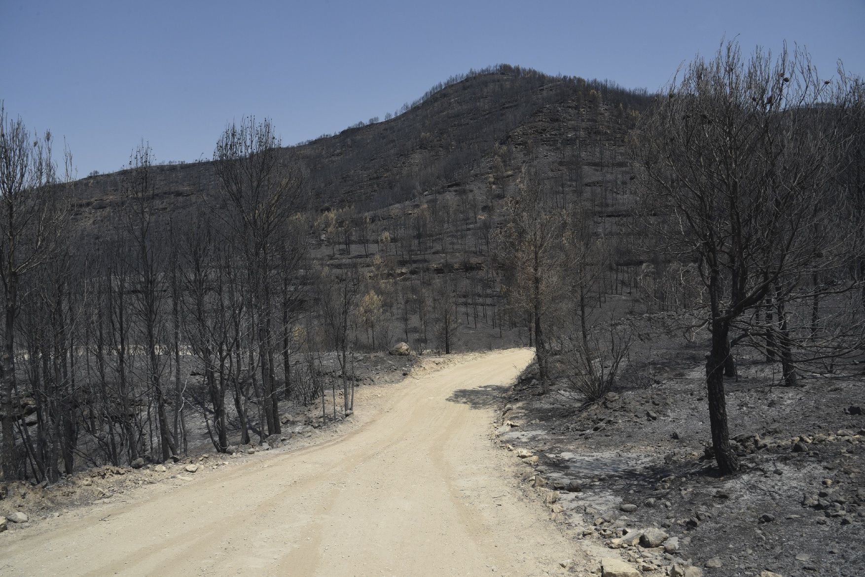 Així ha afectat el foc les tines de la Vall del Flequer