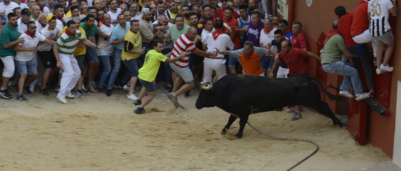 El astado de Peñajara, de casta Jijona, salió del toril como una exhalación y puso en aprietos a parte del público.
