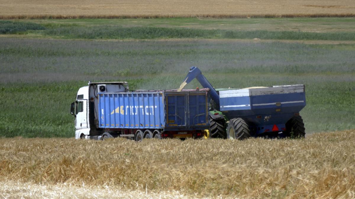 Rusia responde a la ONU que es &quot;imposible&quot; reanudar el acuerdo del grano