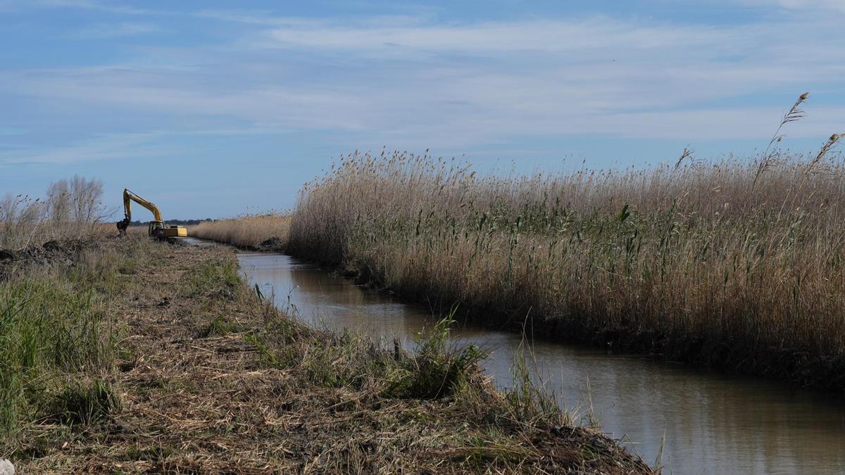 Recuperan una acequia  en s’Albufera a cambio de un parque fotovoltaico