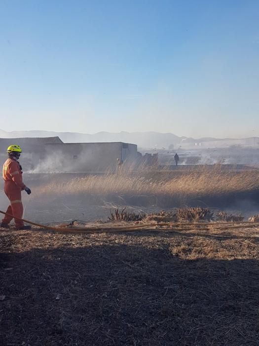 Incendio forestal en el Marjal dels Moros en Sagunt