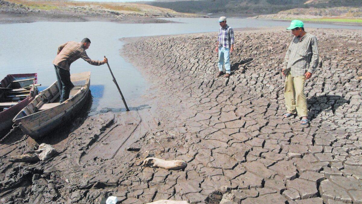 El planeta debe restaurar en nueve años un área como China para sobrevivir