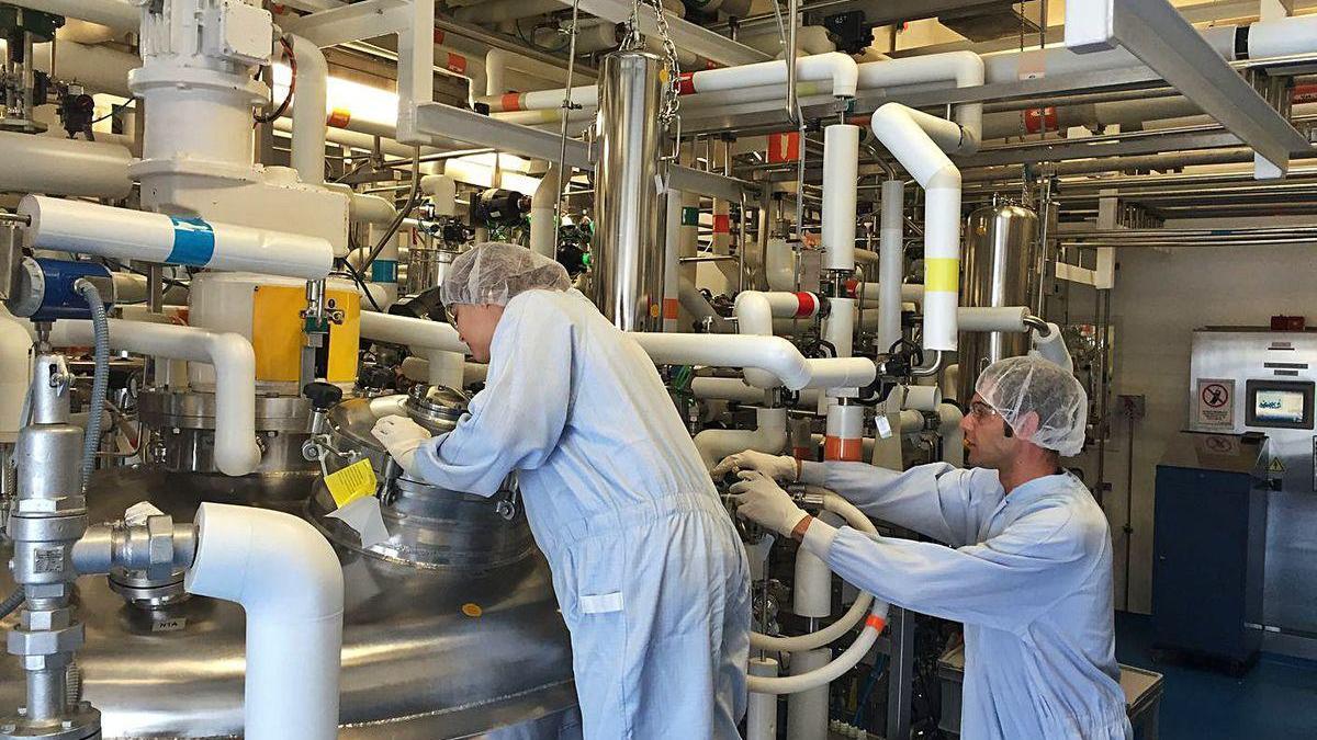 Alumnos de FP durante una prácticas laborales en una empresa gallega.