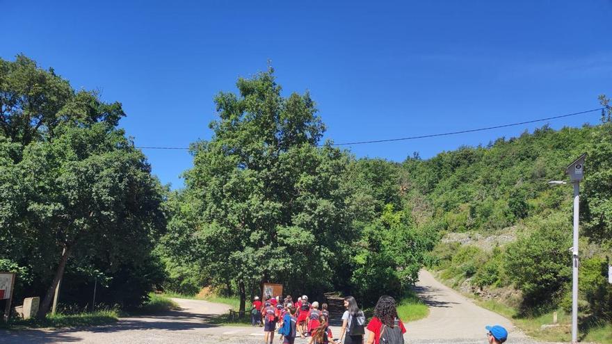 Les Coves del Toll i el Museu de Moià clouen el curs amb un rècord de visites escolars
