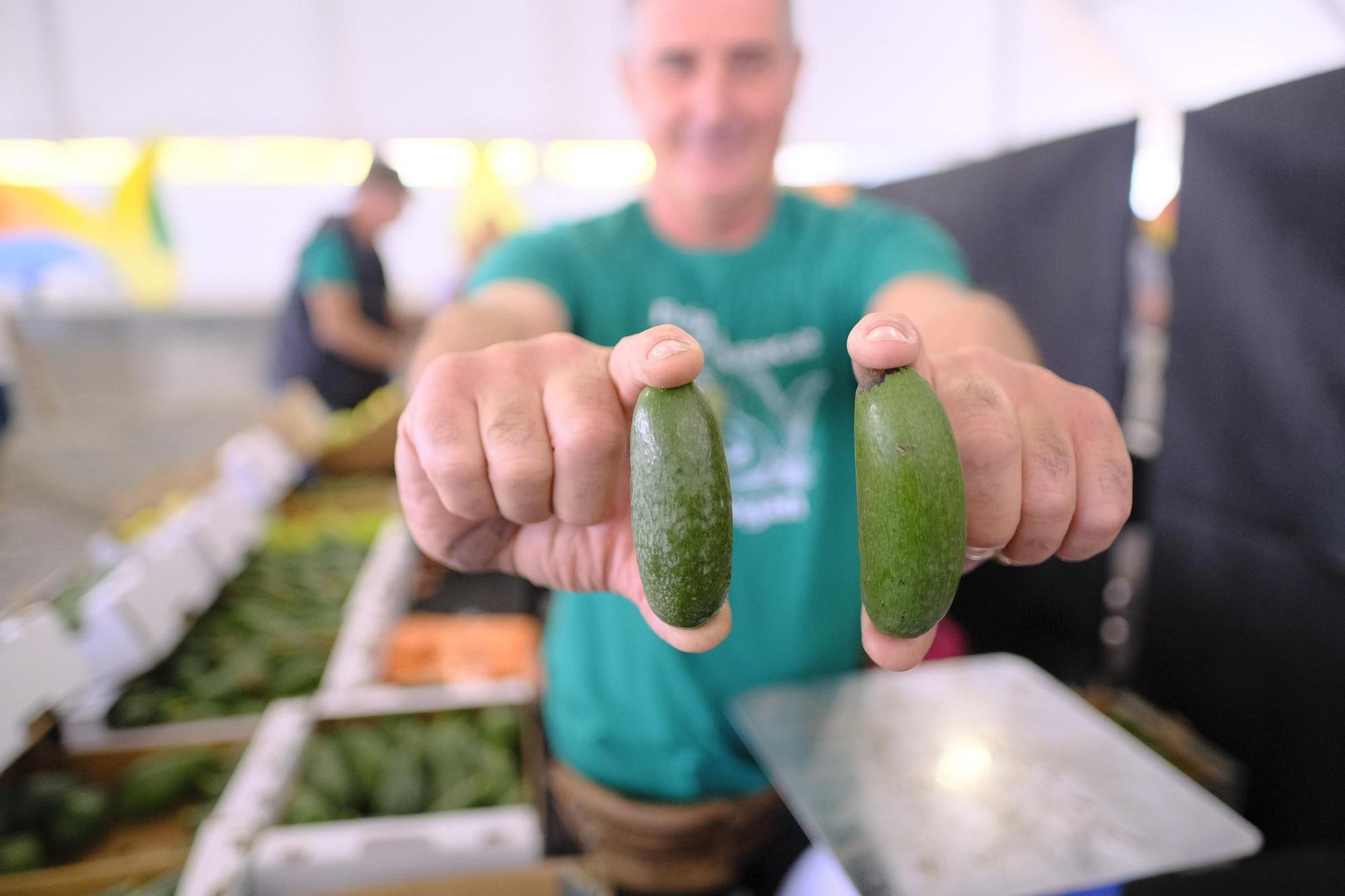 Feria del Aguacate de Mogán