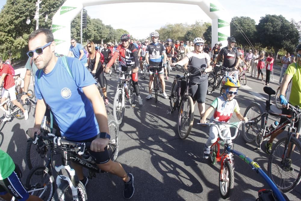 XX Día de la Bicicleta en Valencia