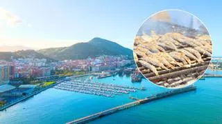 Santurtzi, el mejor lugar de España para comer sardinas asadas junto al mar