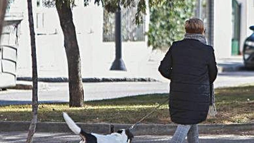 Una mujer pasea con su perro.