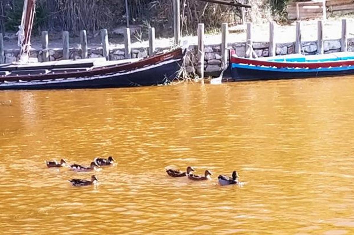 Las barcas casi tocando el fondo