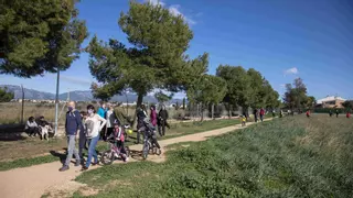Vecinos de Son Bonet montan una cena para reivindicar el pulmón verde