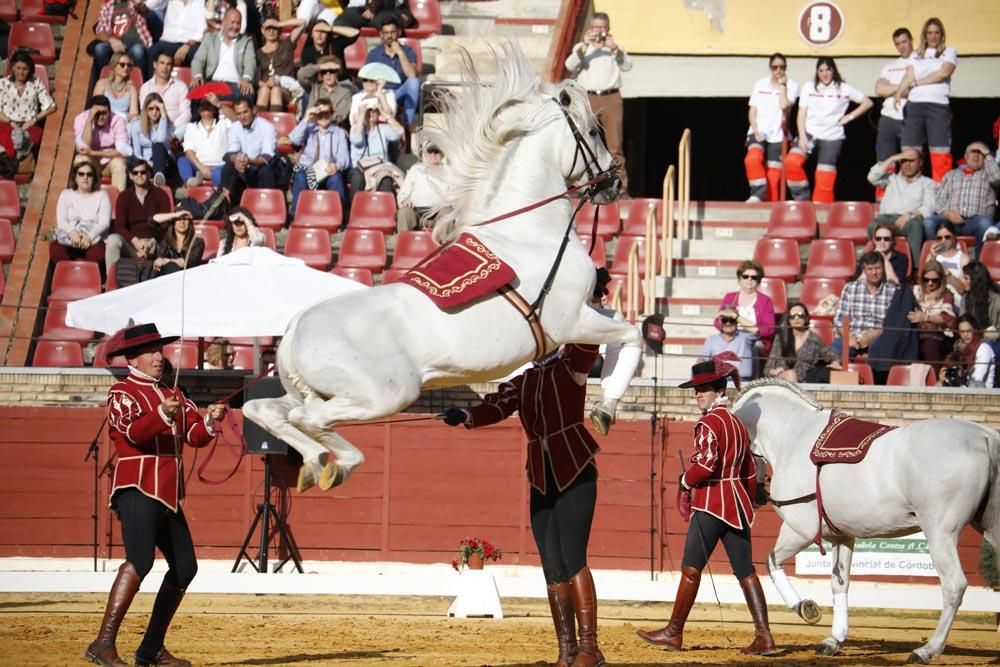 El mundo del caballo contra el cáncer