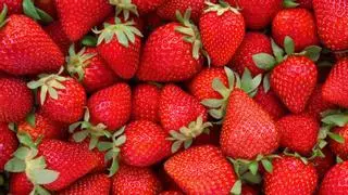 ¿Qué pasa si comes fresas todos los días?