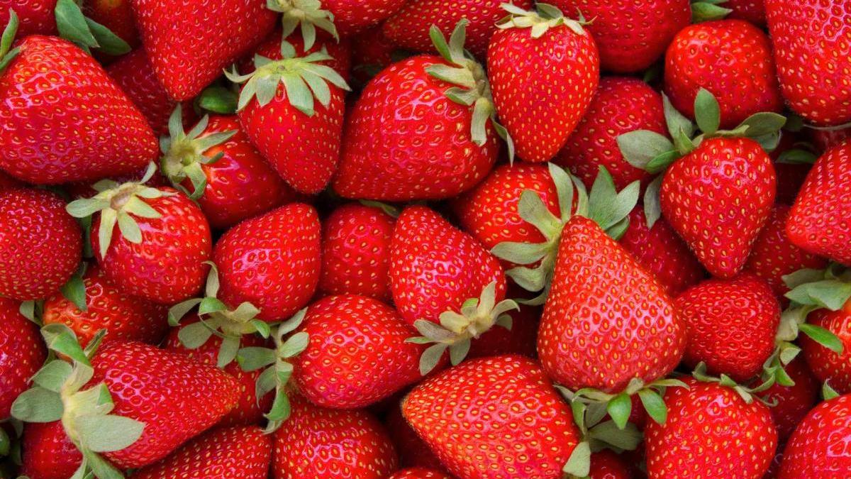 fresas