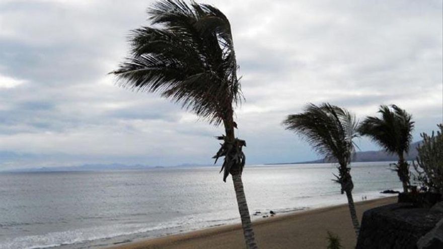 Dan por finalizadas las prealertas por vientos y fenómenos costeros declaradas en Canarias