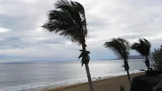 Dan por finalizadas las prealertas por vientos y fenómenos costeros declaradas en Canarias