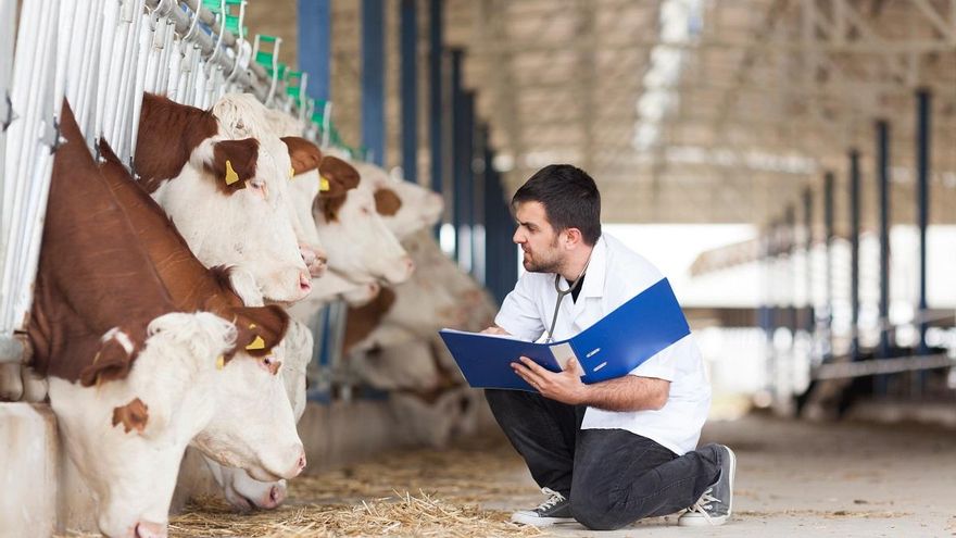 Los veterinarios de Baleares piden un año para adaptarse al sistema informático de control de prescripciones de antibióticos