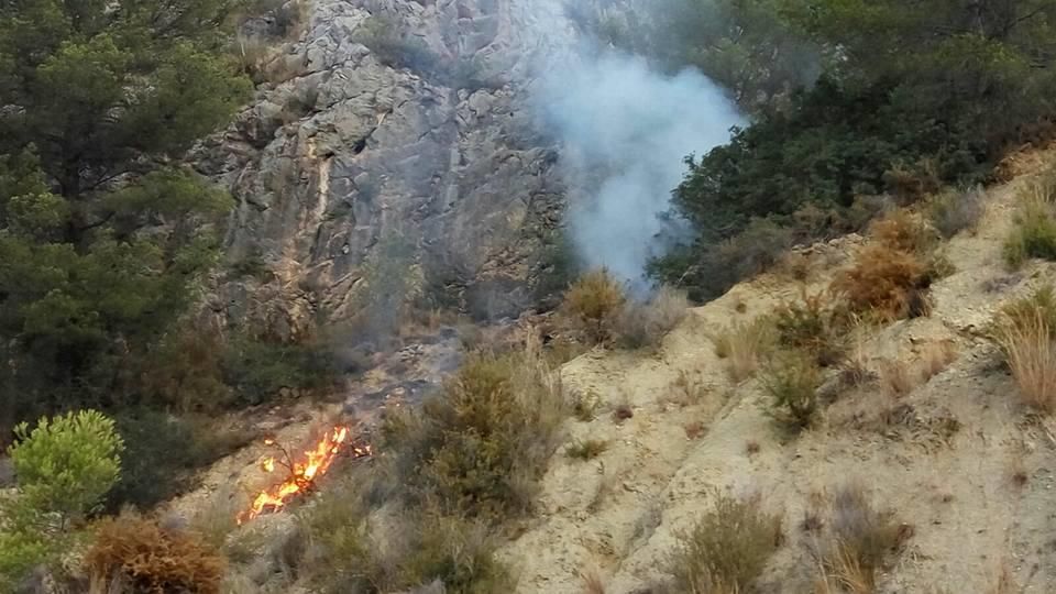 Controlado un incendio forestal en Bolulla