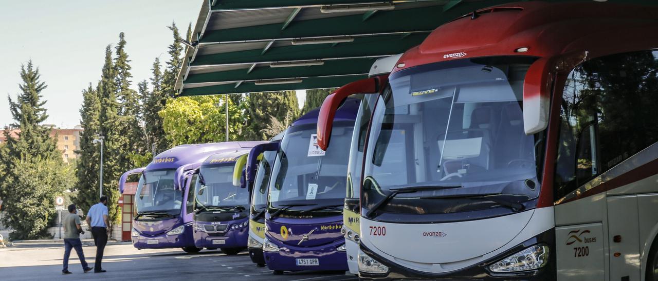 Autobuses estacionados en las dársenas de la estación de Cáceres.