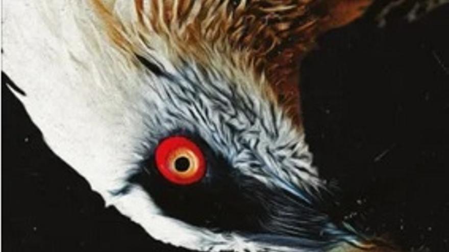 Fira del Llibre de València 2023: El quebrantahuesos